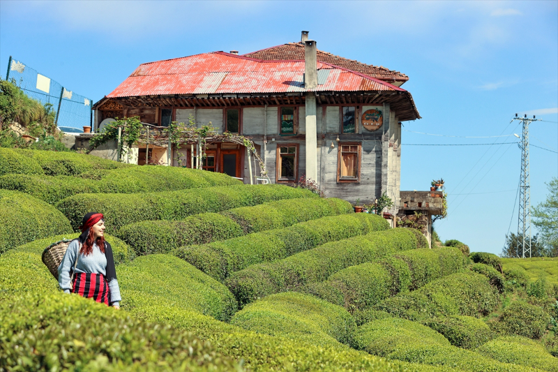 Rize doğal güzellikleri