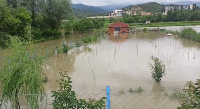 Su altında kalan tarım arazileri zarar gördü