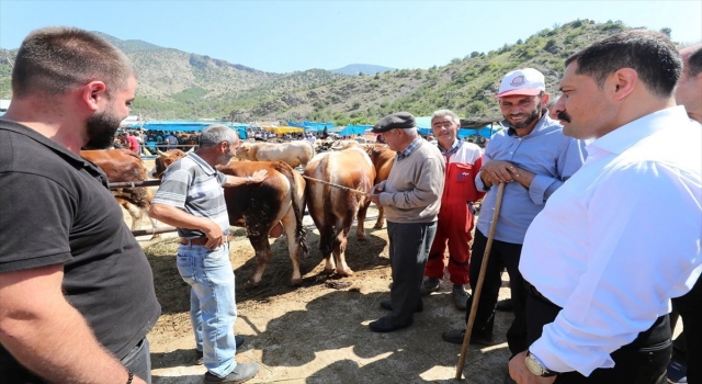 Amasya Valisi Masatlı, hayvan pazarında incelemede bulundu