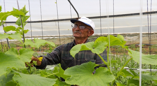 ”Örnek çiftçi” ata tohumunu gelecek nesillere aktarmak için mücadele ediyor