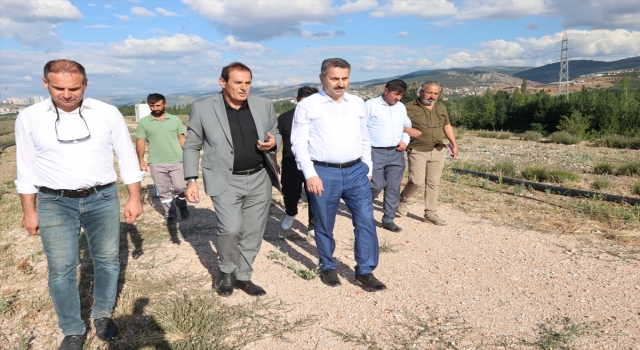 Tokat Havalimanı Çevresinde Lavanta Bahçeleri Oluşturulacak