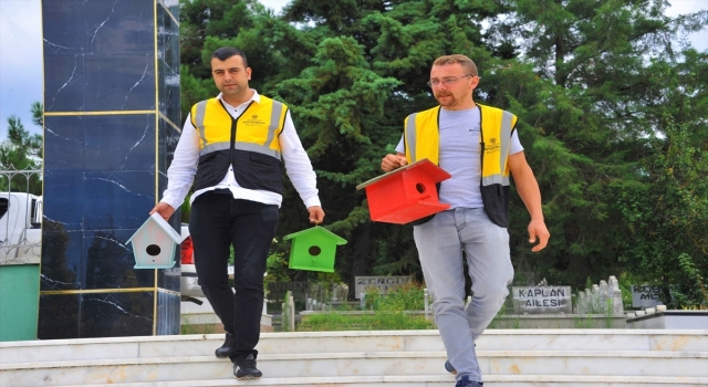 Samsun’da atık ahşaplar kuş evlerine dönüştü