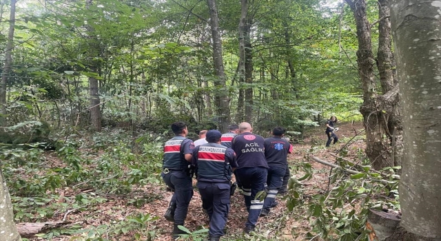 Kestiği ağacın altında kalan kişi yaralandı