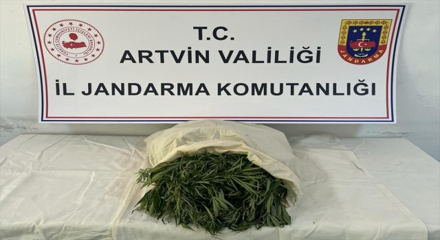 Artvin’de uyuşturucu operasyonunda 2 zanlı gözaltına alındı