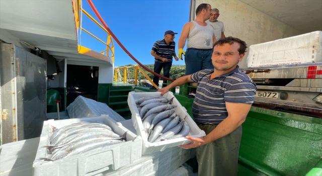 Amasra’da balıkçılar, limana palamut dolu kasalarla döndü