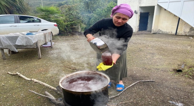 Giresun’da isabella cinsi üzümün pekmeze yolculuğu başladı