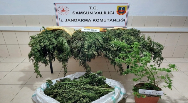 Samsun’da evlerinde kenevir yetiştirdikleri iddiasıyla 3 kişi yakalandı