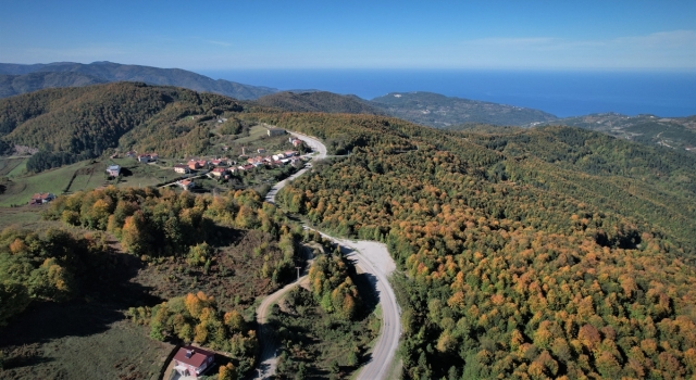 Kastamonu ormanlarında sonbahar manzaraları hüküm sürüyor