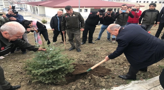 ”Türkiye Yüzyılı’na Nefes” sloganıyla fidanlar toprakla buluşturuldu