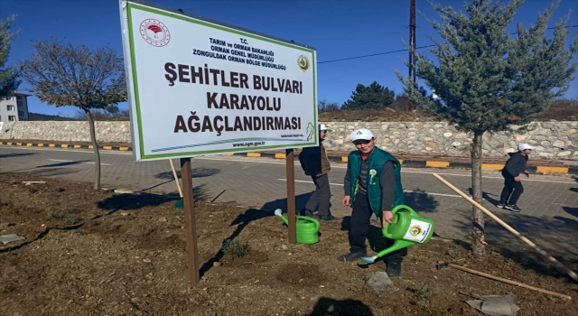 Ovacık’ta 4 bin fidan toprakla buluştu