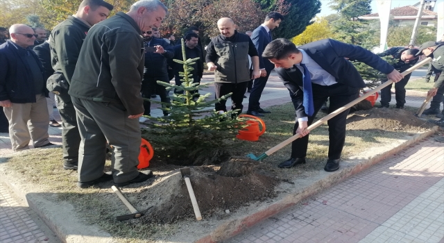 Kargı ilçesinde bin fidan toprakla buluşturuldu