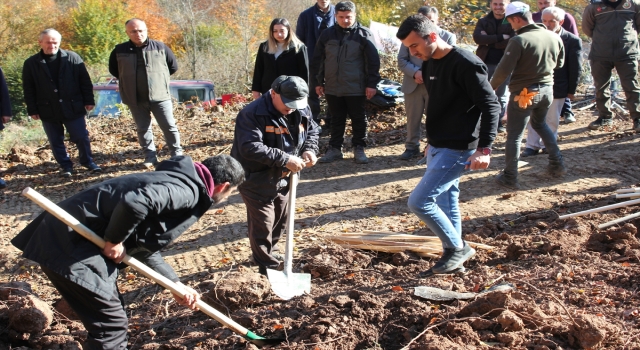 Düzce’de fidanlar toprakla buluşturuldu