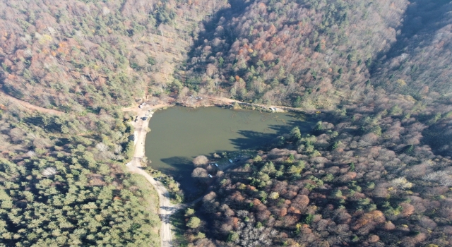 Batı Karadeniz ormanları sonbaharın güzelliklerini sergiliyor