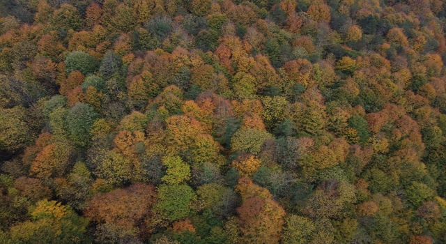 Batı Karadeniz’de sonbahar renkleri arasında yolculuk