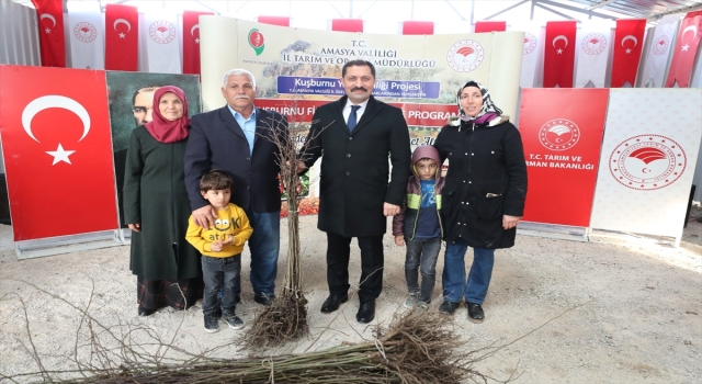 Amasya’da çiftçilere 12 bin 500 kuşburnu fidanı dağıtıldı