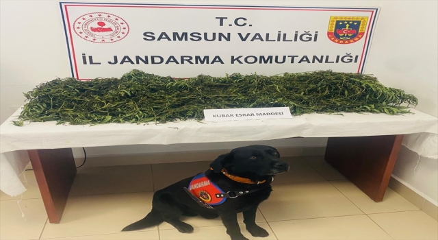 Samsun’da uyuşturucu operasyonunda 1 zanlı tutuklandı