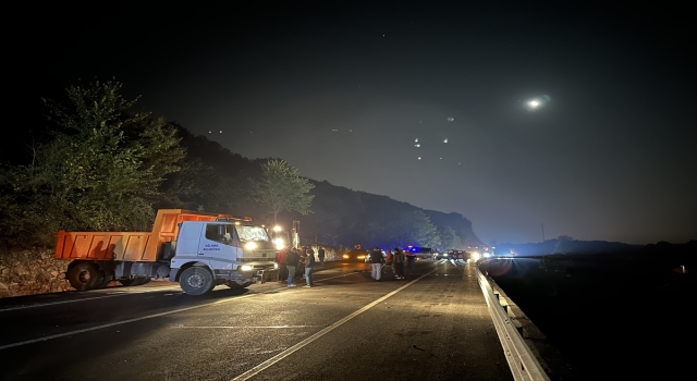 Düzce’de otomobilin çarptığı başıboş 3 at telef oldu