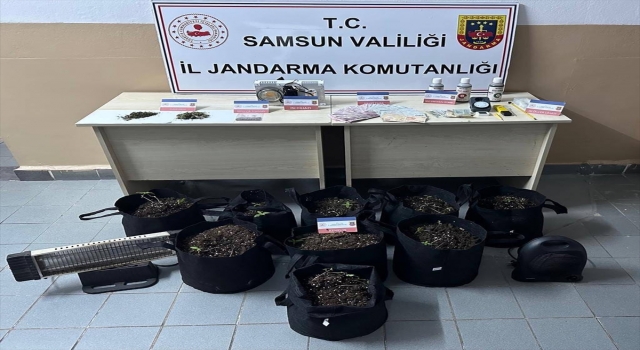 Samsun’da evinde iklimlendirme sistemi kurarak saksılarda kenevir yetiştiren kişi yakalandı