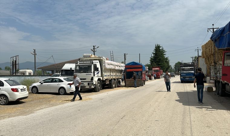 Düzce’de hayvan pazarındaki hareketliliğin haftaya başlaması bekleniyor