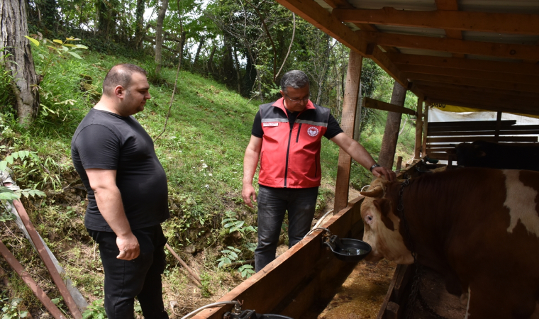 Tarım ve Orman Müdürü Yılmaz kurban kesimiyle ilgili tavsiyelerde bulundu