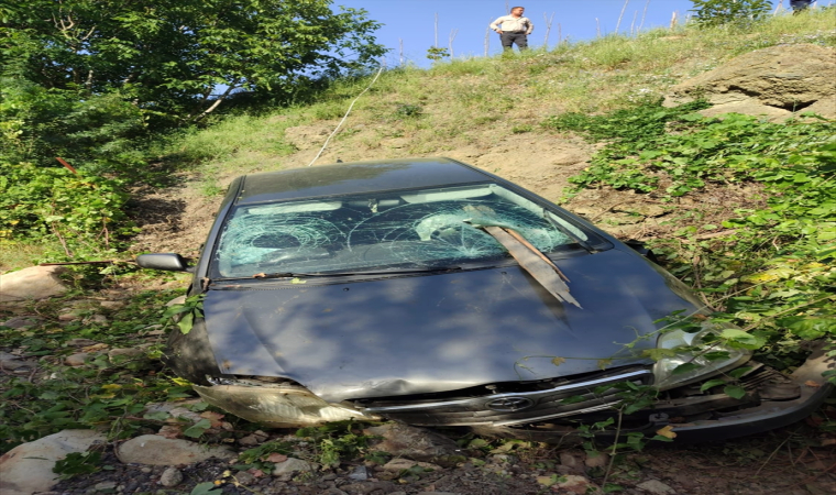 Bahçeye devrilen otomobilin çarptığı kadın öldü, araçtaki 3 kişi yaralandı