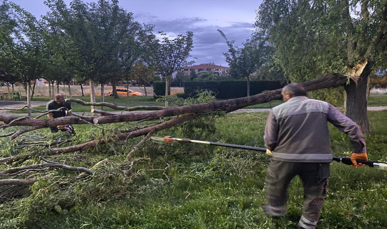 Çorum’da şiddetli rüzgar 3 ağacı devirdi, bir binanın çatısı uçtu