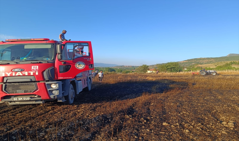 Tokat’ta çıkan yangında 6 dönüm buğday ekili arazi zarar gördü