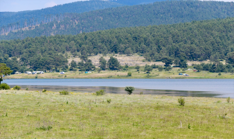 Bolu ve Kocaeli’de sıcak havadan bunalanlar yaylalarda ve sahillerde serinledi