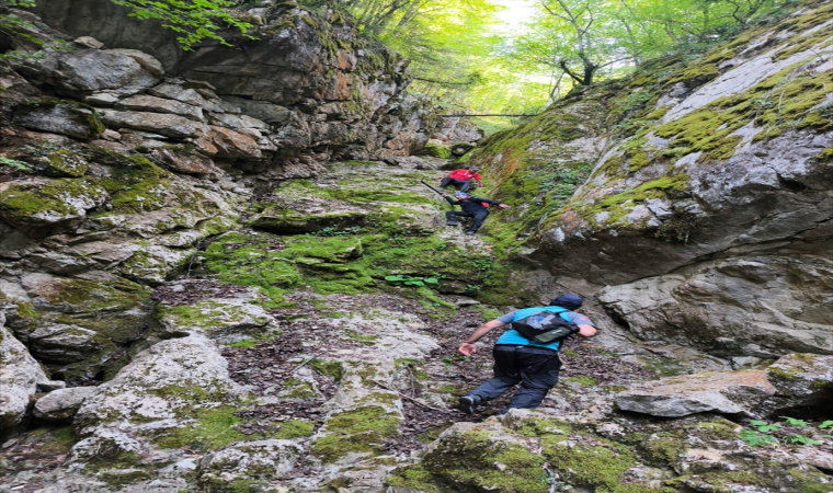 Kastamonu’da kaybolan kişinin bulunması için çalışma yapılıyor