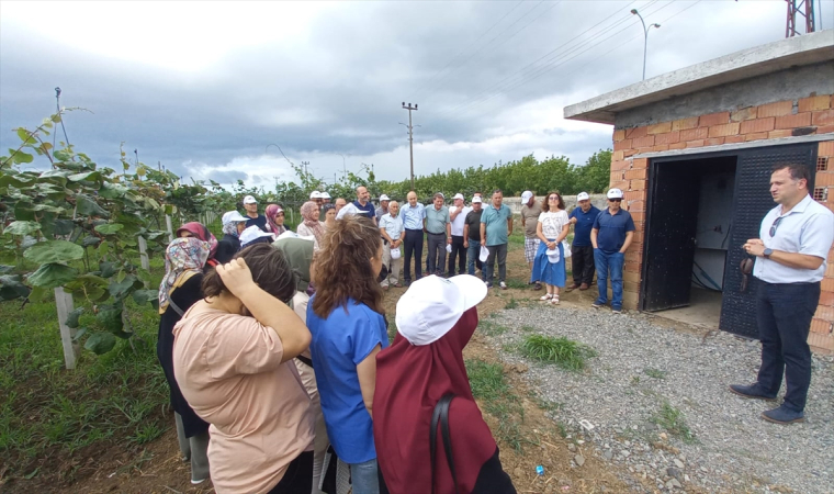 19 Mayıs ilçesinde kivi yetiştiriciliği eğitimi yapıldı