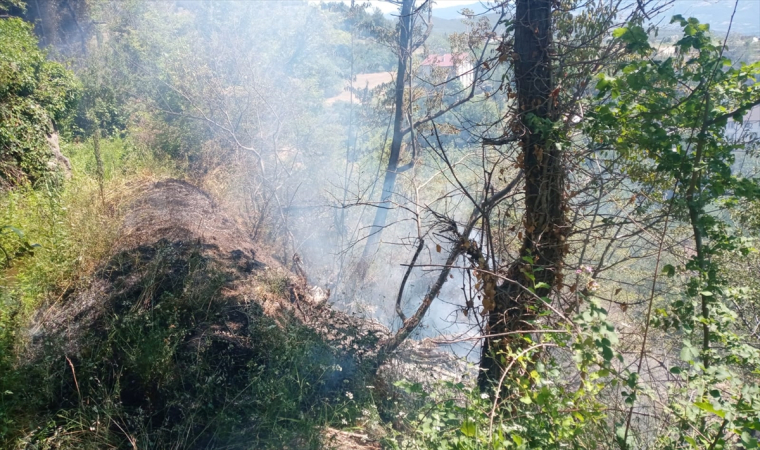 Tokat’ta otluk alanda çıkan yangın söndürüldü