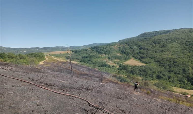 Kastamonu’da ormanlık alanda çıkan yangın söndürüldü