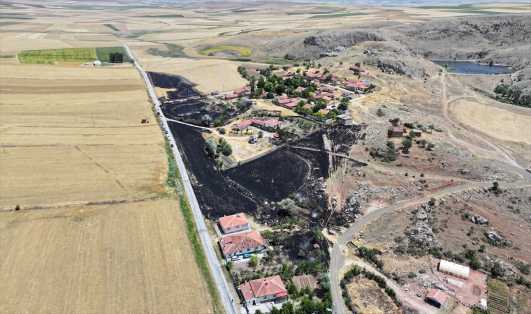 Otların tutuşturulmasıyla başlayan yangında 31 dekar ekili alan yandı