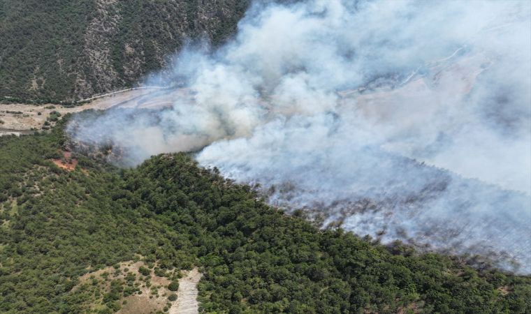 Karabük’te çıkan orman yangınına müdahale ediliyor