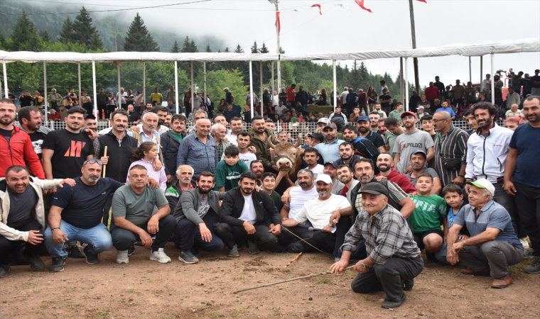 Artvin’de ”43. Kafkasör Kültür, Turizm ve Sanat Festivali” boğa güreşleriyle sürdü