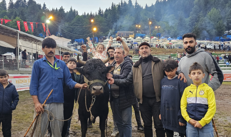 Artvin’de ”43. Kafkasör Kültür, Turizm ve Sanat Festivali” boğa güreşleriyle sürdü