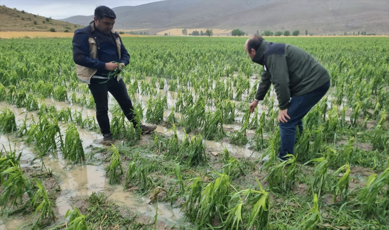 Bayburt’ta dolu ve sağanak ekili alanlara zarar verdi