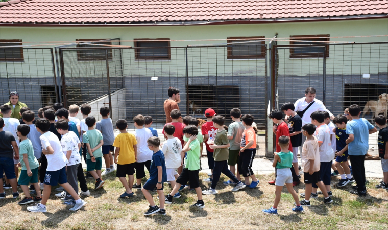 Düzce’de TÜGVA yaz okulu öğrencileri can dostlarla buluştu