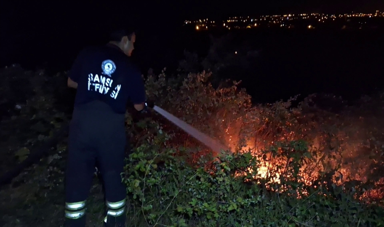 Samsun’da otluk alanda çıkan yangın büyümeden söndürüldü