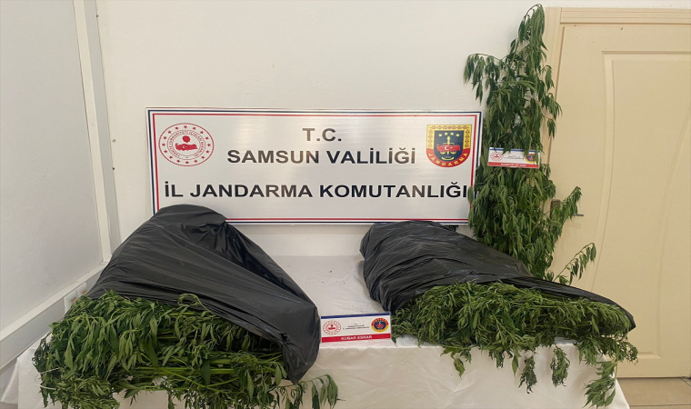 Samsun’da 5 kilo 500 gram esrar ele geçirildi