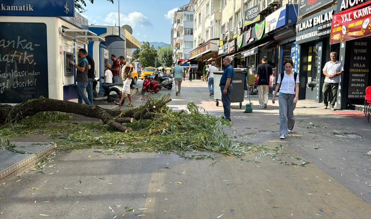 Kırılan ağaç dalının yere düşmesi sonucu 1 kişi yaralandı