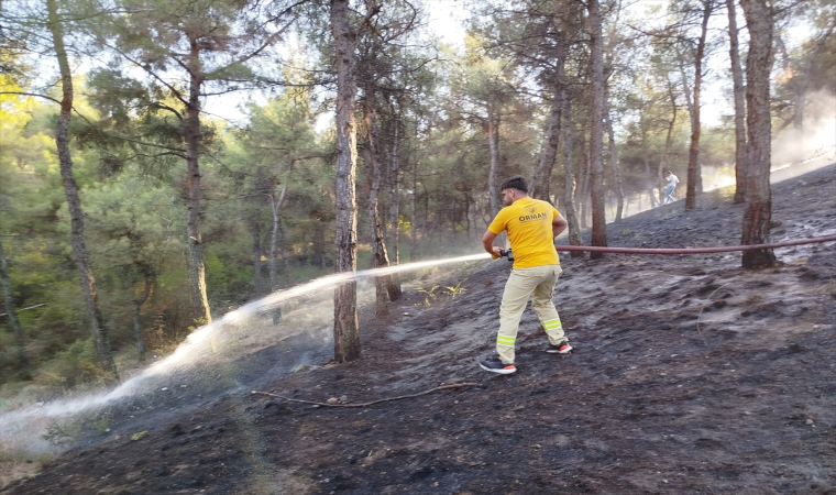 Sinop’ta ormanda çıkan yangın söndürüldü