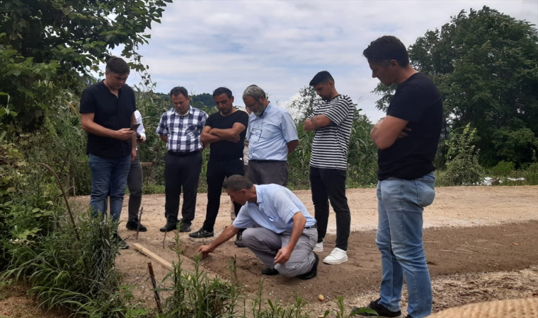 Giresun’da çiftçilere hibe destekli 1325 kilogram salep yumrusu dağıtıldı