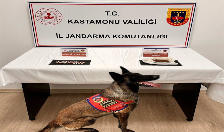 Kastamonu’da uyuşturucu operasyonunda 2 şüpheli tutuklandı