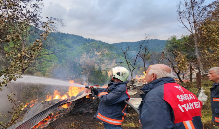 Artvin’in Şavşat ilçesindeki yangında 3 ev kullanılmaz hale geldi