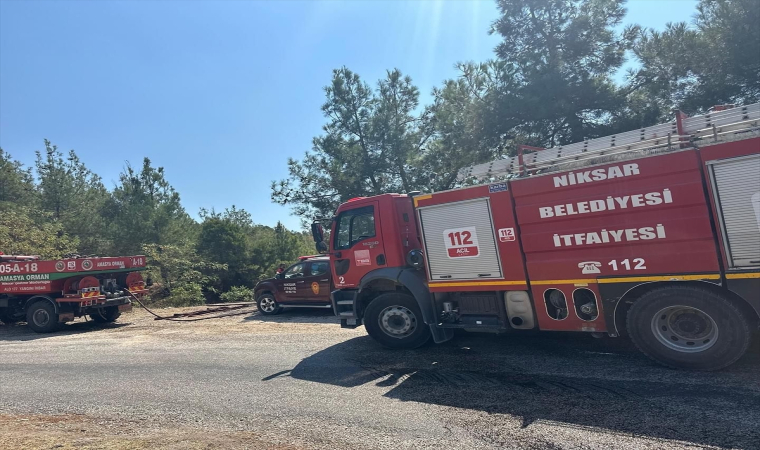 Tokat’ta çıkan orman yangını kısa sürede söndürüldü