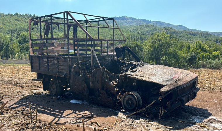 Karabük’te park halindeki kamyonet yandı