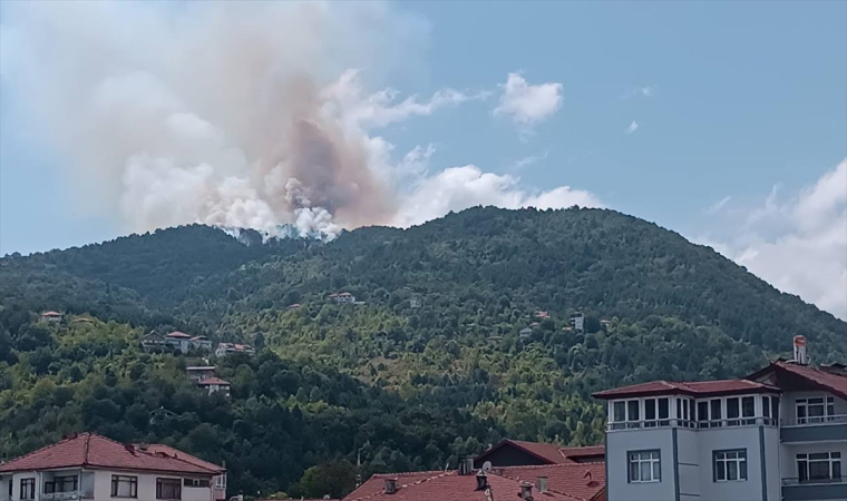 Zonguldak’ta ormanlık alanda çıkan yangın kontrol altına alındı