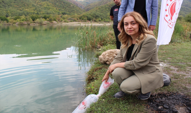 Karabük’te göl ve göletlere 30 bin sazan yavrusu bırakıldı