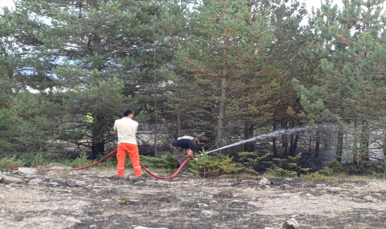 Bolu’da ormanlık alanda çıkan yangın söndürüldü